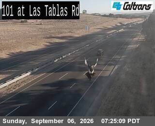 US-101 : Las Tablas Road live camera view