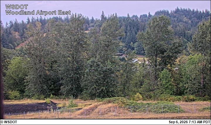 Woodland East live camera view
