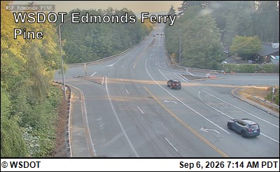 WSF Edmonds Pine live camera view