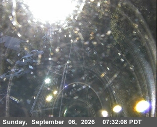 127 - Ferretti Rd Groveland live camera view