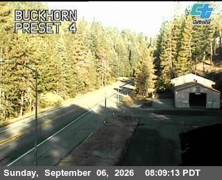 Buckhorn live camera view