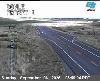 Doyle live camera view