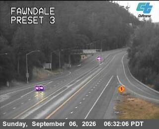 Fawndale live camera view