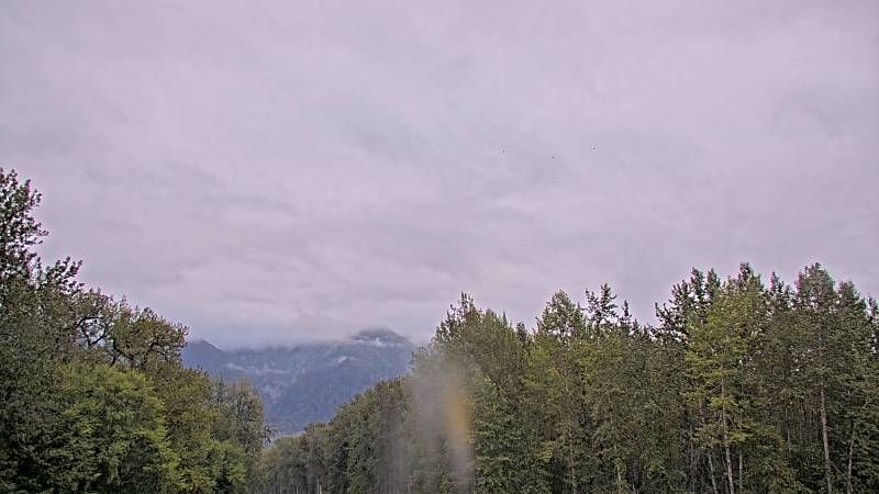 Haines Highway @ MP 25 live camera view