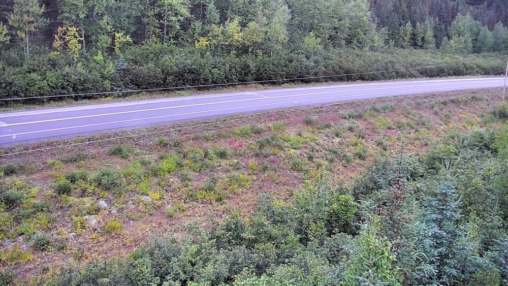 Richardson Highway @ Sheep Creek MP 18.6 live camera view