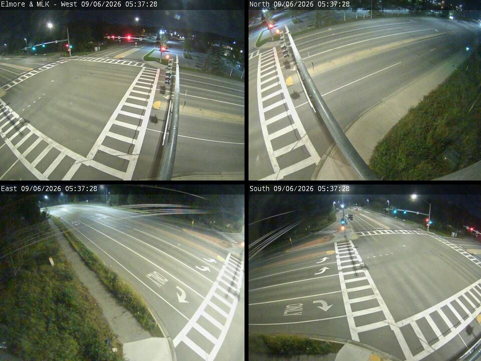 Elmore & MLK live camera view