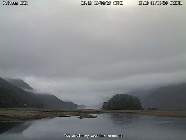 Pelican — SouthEast live camera view
