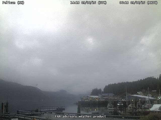 Pelican — NorthWest live camera view