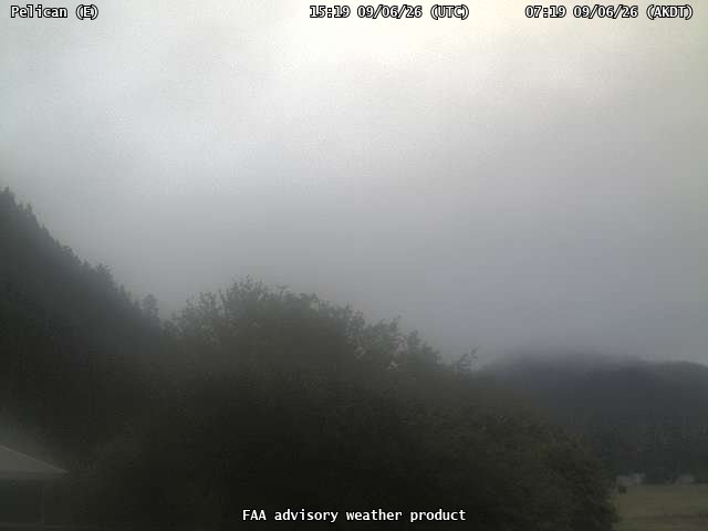 Pelican — East live camera view