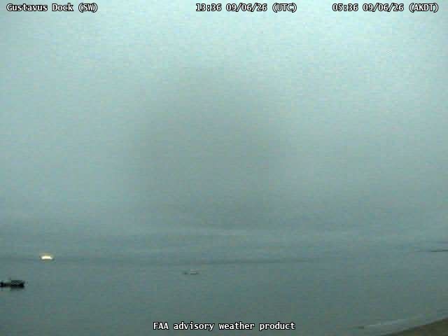 Gustavus Dock — SouthWest live camera view