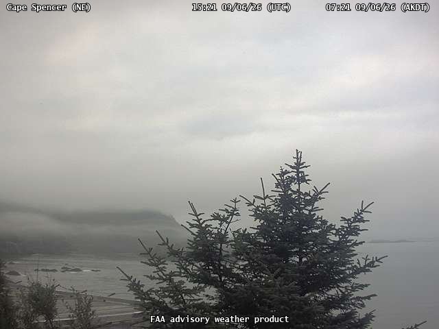 Cape Spencer — NorthEast live camera view