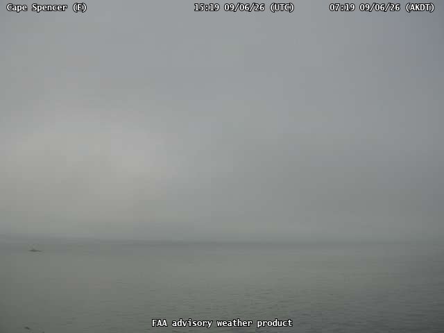 Cape Spencer — East live camera view