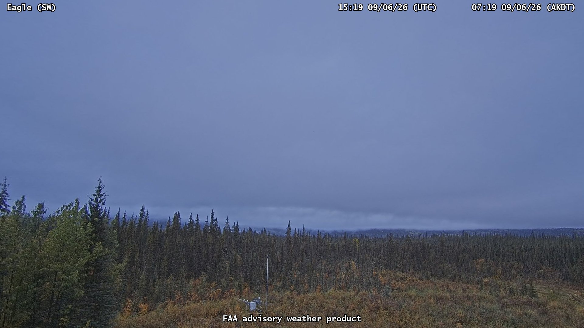Eagle — SouthWest live camera view