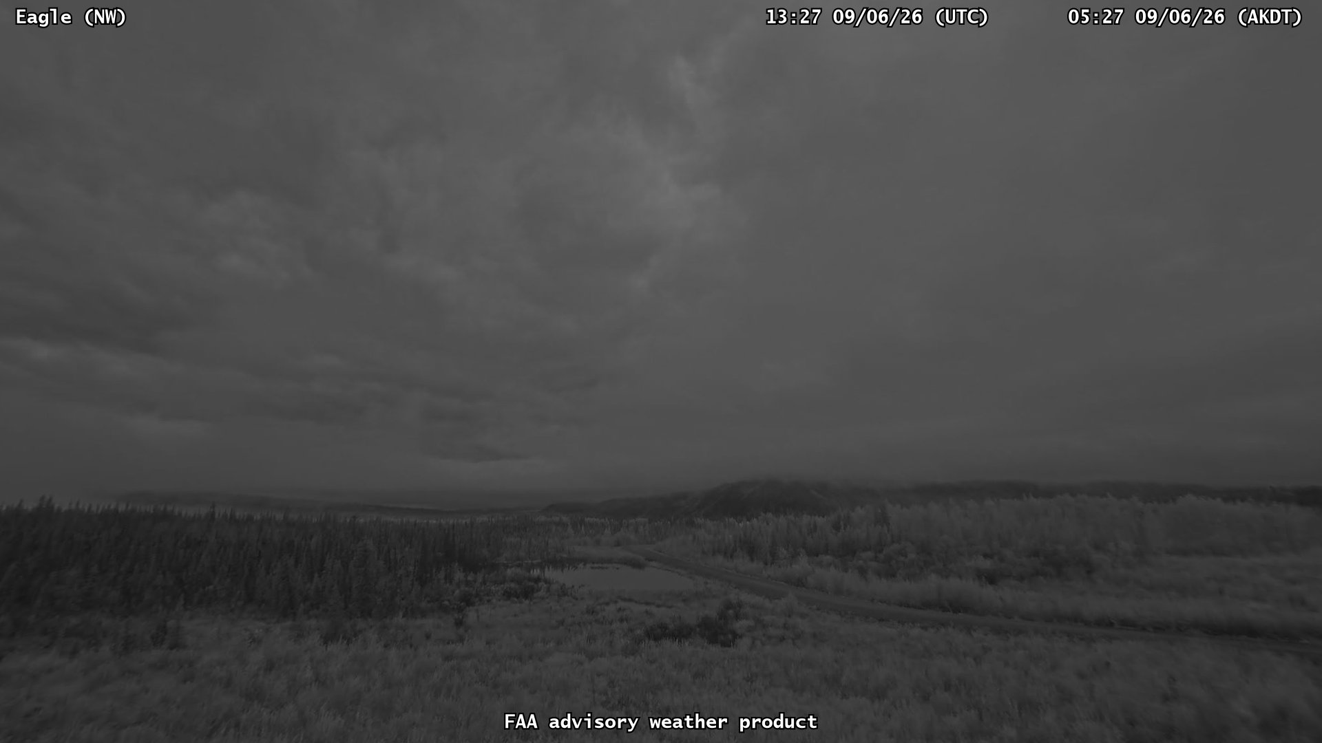 Eagle — NorthWest live camera view