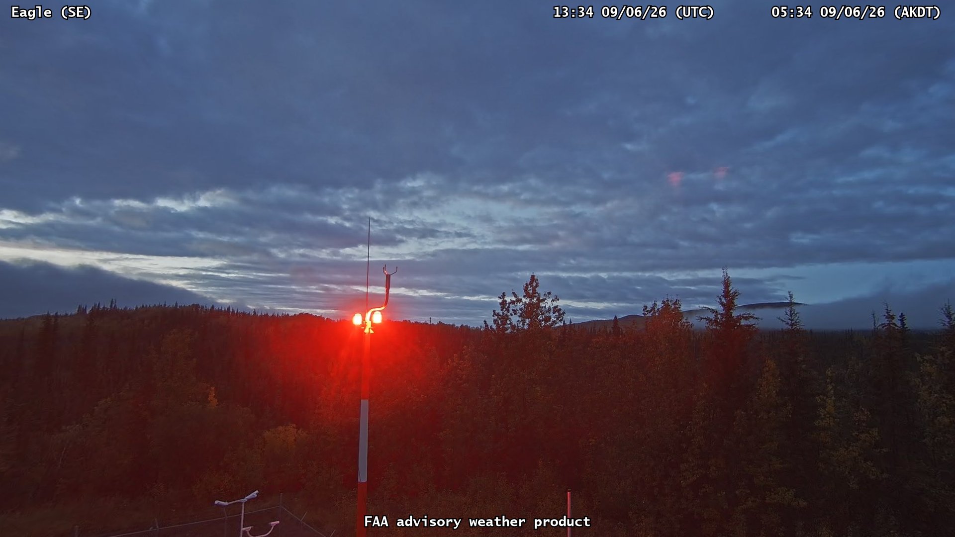 Eagle — SouthEast live camera view