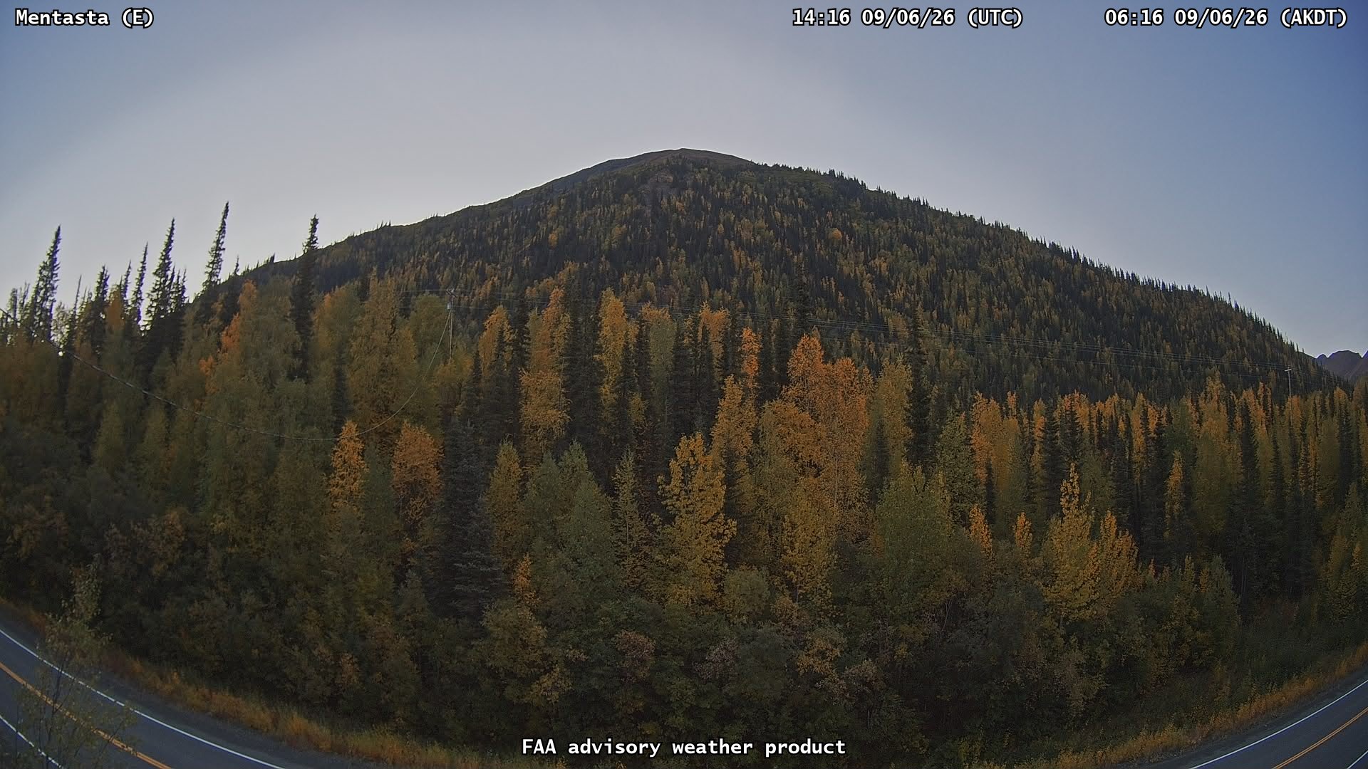 Mentasta — East live camera view