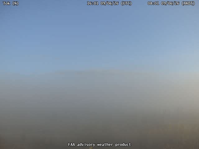 Tok — North live camera view