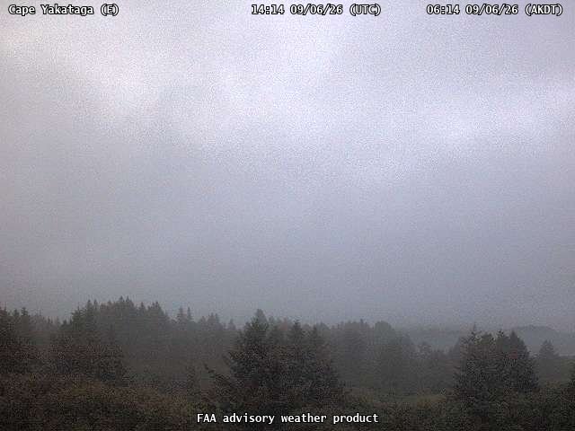 Cape Yakataga — East live camera view