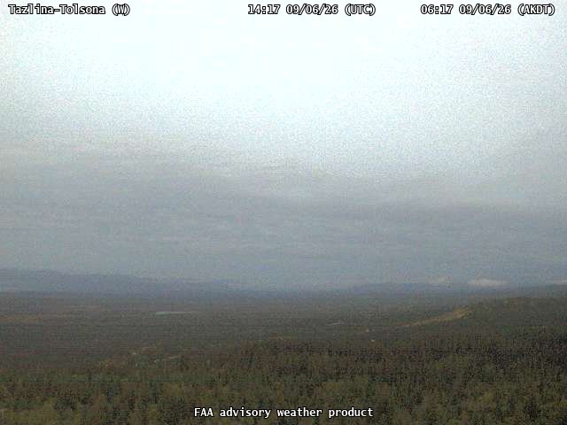 Tazlina-Tolsona — West live camera view