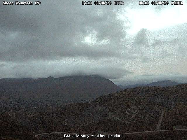 Sheep Mountain — North live camera view