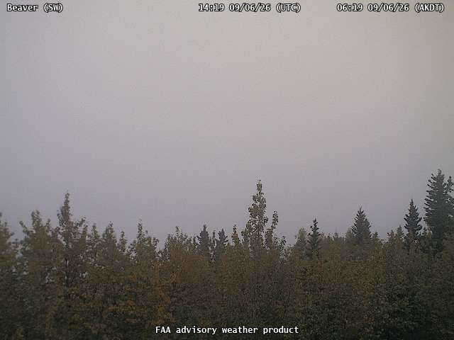 Beaver — SouthWest live camera view