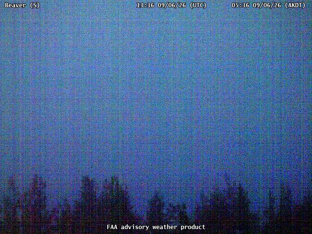 Beaver — South live camera view