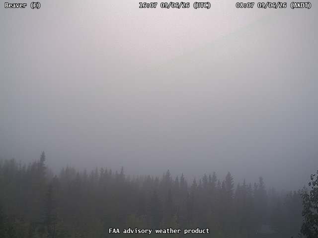 Beaver — East live camera view