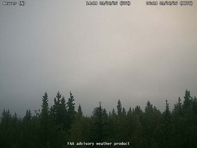 Beaver — North live camera view
