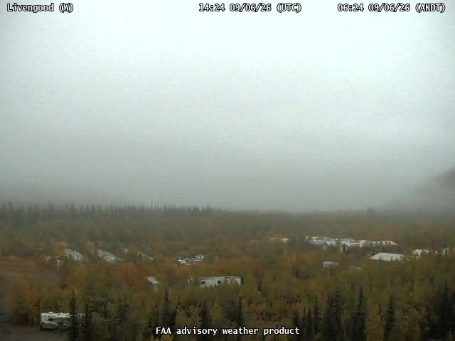 Livengood — West live camera view