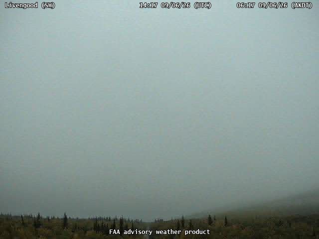 Livengood — SouthWest live camera view