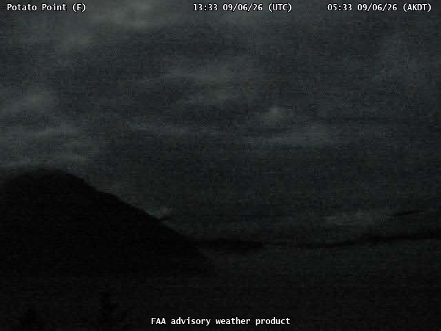 Potato Point — East live camera view