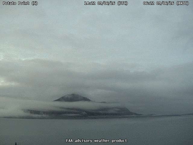 Potato Point — South live camera view