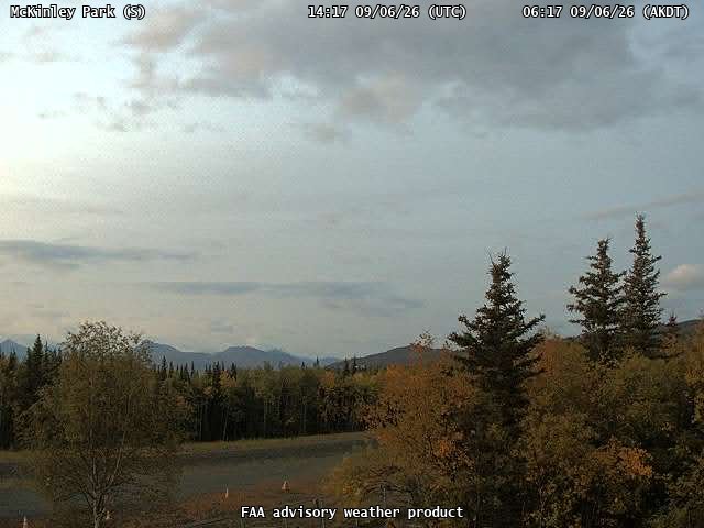 McKinley Park — South live camera view