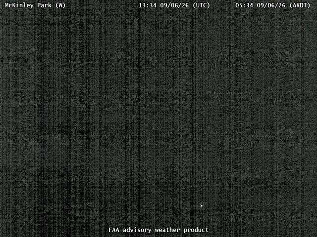 McKinley Park — West live camera view