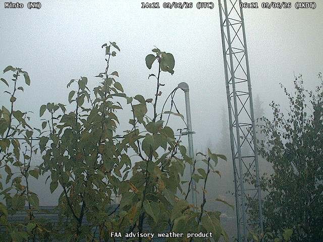 Minto — NorthWest live camera view