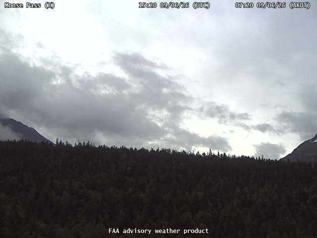 Moose Pass — East live camera view