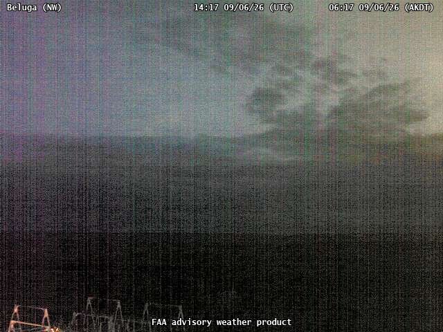 Beluga — NorthWest live camera view