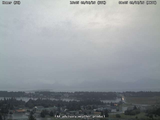 Homer — SouthEast live camera view