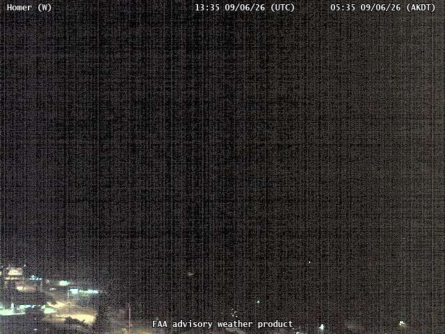 Homer — West live camera view