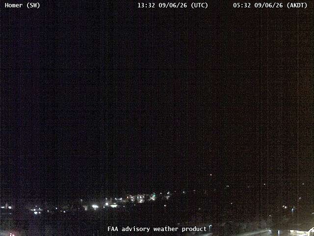 Homer — SouthWest live camera view