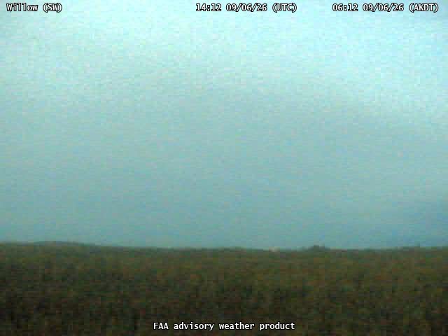 Willow — SouthWest live camera view