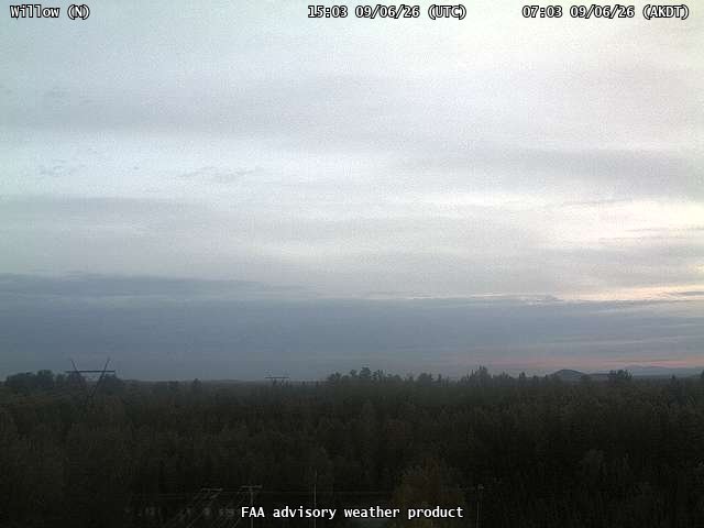 Willow — North live camera view