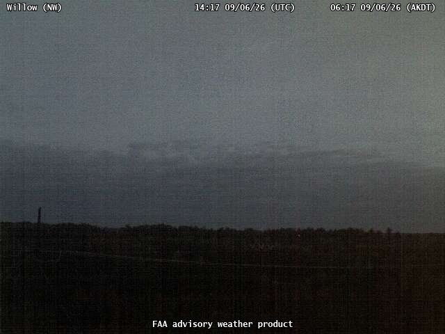 Willow — NorthWest live camera view
