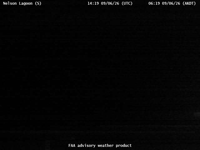 Nelson Lagoon — South live camera view
