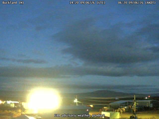 Buckland — West live camera view