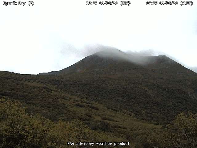 Uganik Bay — East live camera view