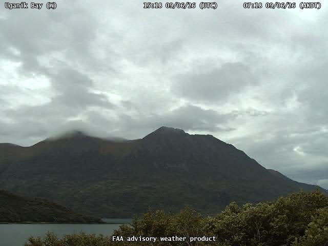 Uganik Bay — West live camera view