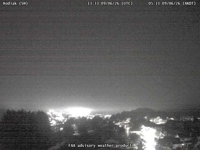 Kodiak — SouthWest live camera view