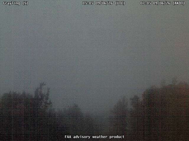 Grayling — South live camera view