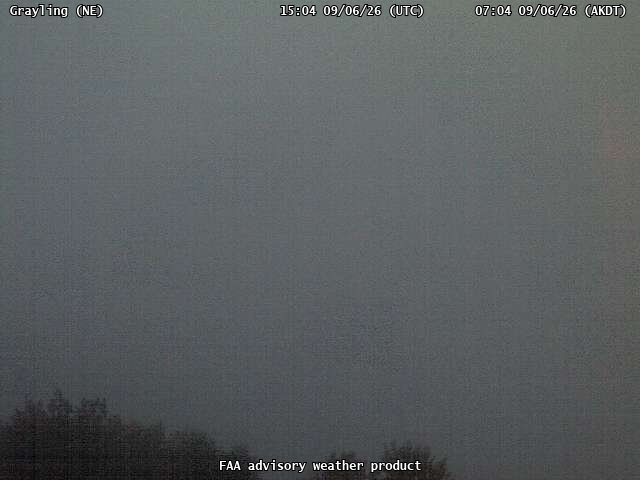 Grayling — NorthEast live camera view